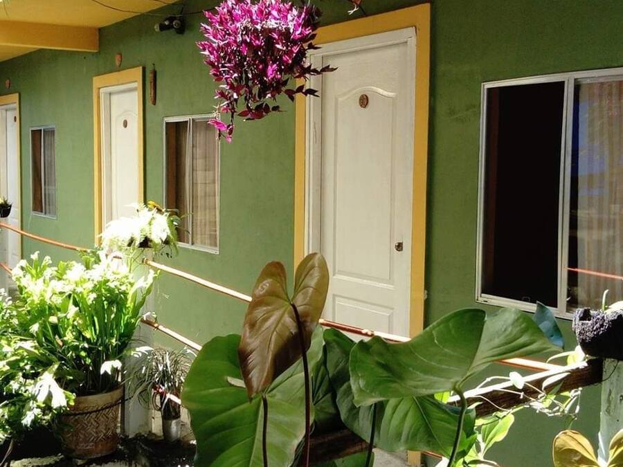 Jardim