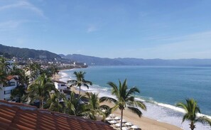 A coastal view with a beach, palm trees, and a cityscape in the background.