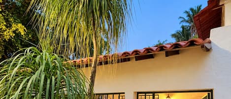 Una entrada porticada a un edificio con un patio empedrado y una palmera.