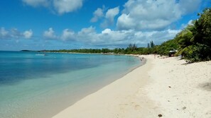 A beach with clear turquoise water, a sandy shore, and a line of trees in the background.