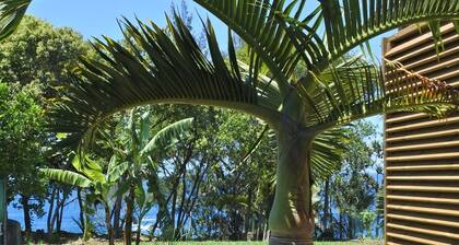 Vacoas Studio: 2 people feet in the water in Manapany-les-Bains
