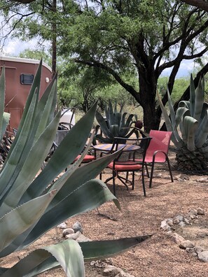 Jardines del alojamiento