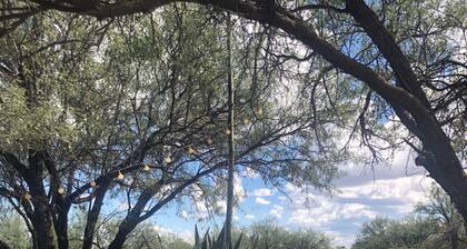 Ranchito Paraiso: Pet-friendly Oasis in the Desert
