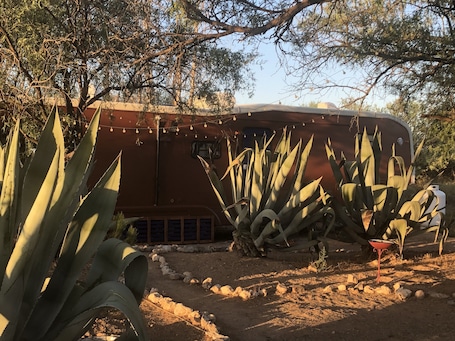 Property grounds. Ranchito Paraiso: Artsy Farm Stay in the Desert