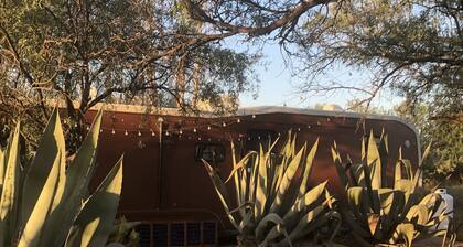 Siivu paratiisia autiomaassa