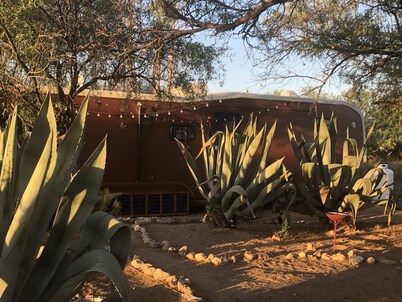 Ranchito Paraiso: Artsy Farm Stay in the Desert