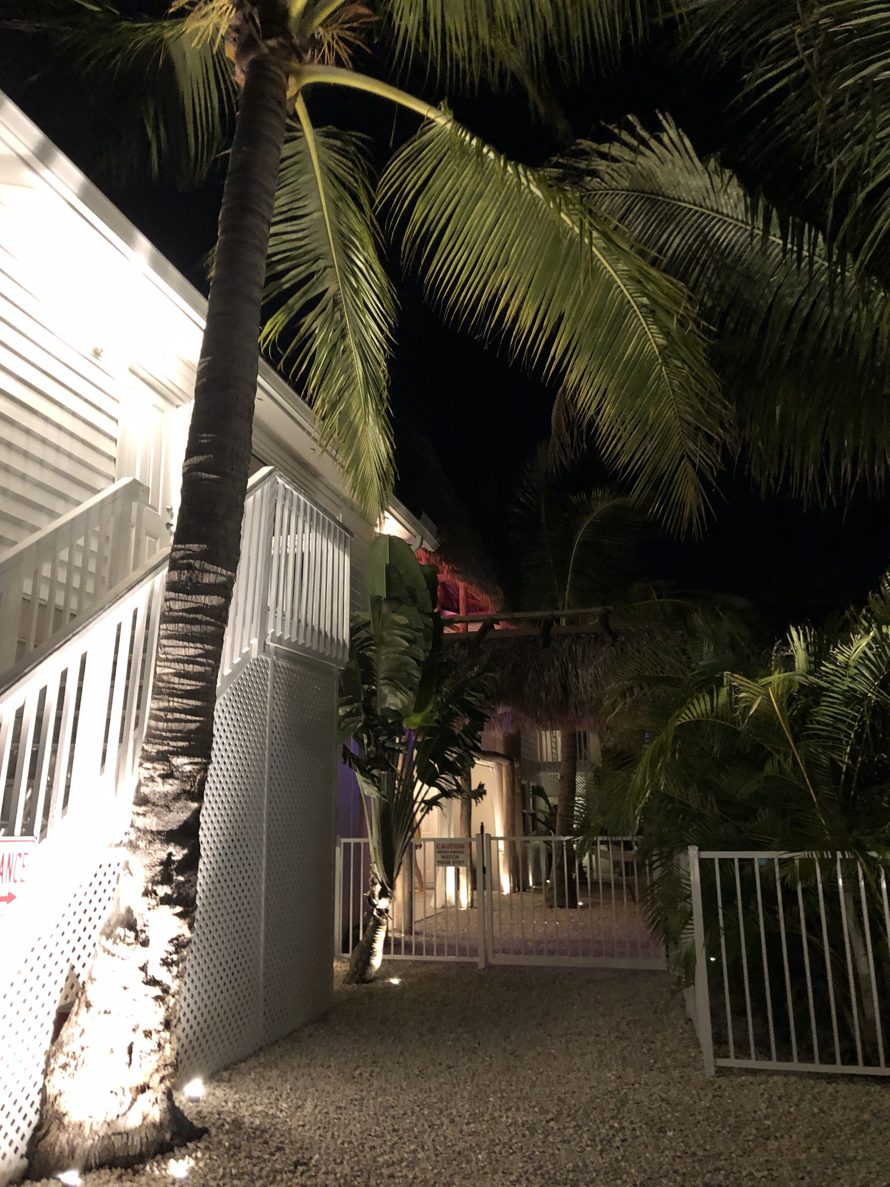 A gated area with a palm tree, a building with barred windows, and a caution sign.