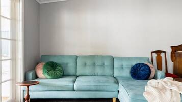 Smart TV, fireplace, DVD player, books