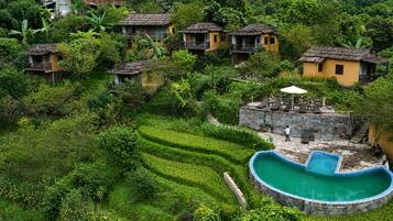 Jardín