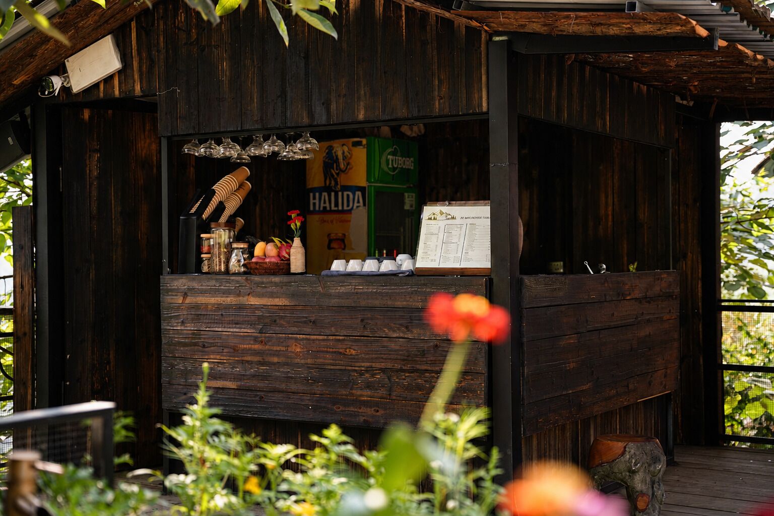 Bar (in der Unterkunft)
