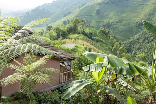 Vue sur le jardin