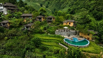 Taman