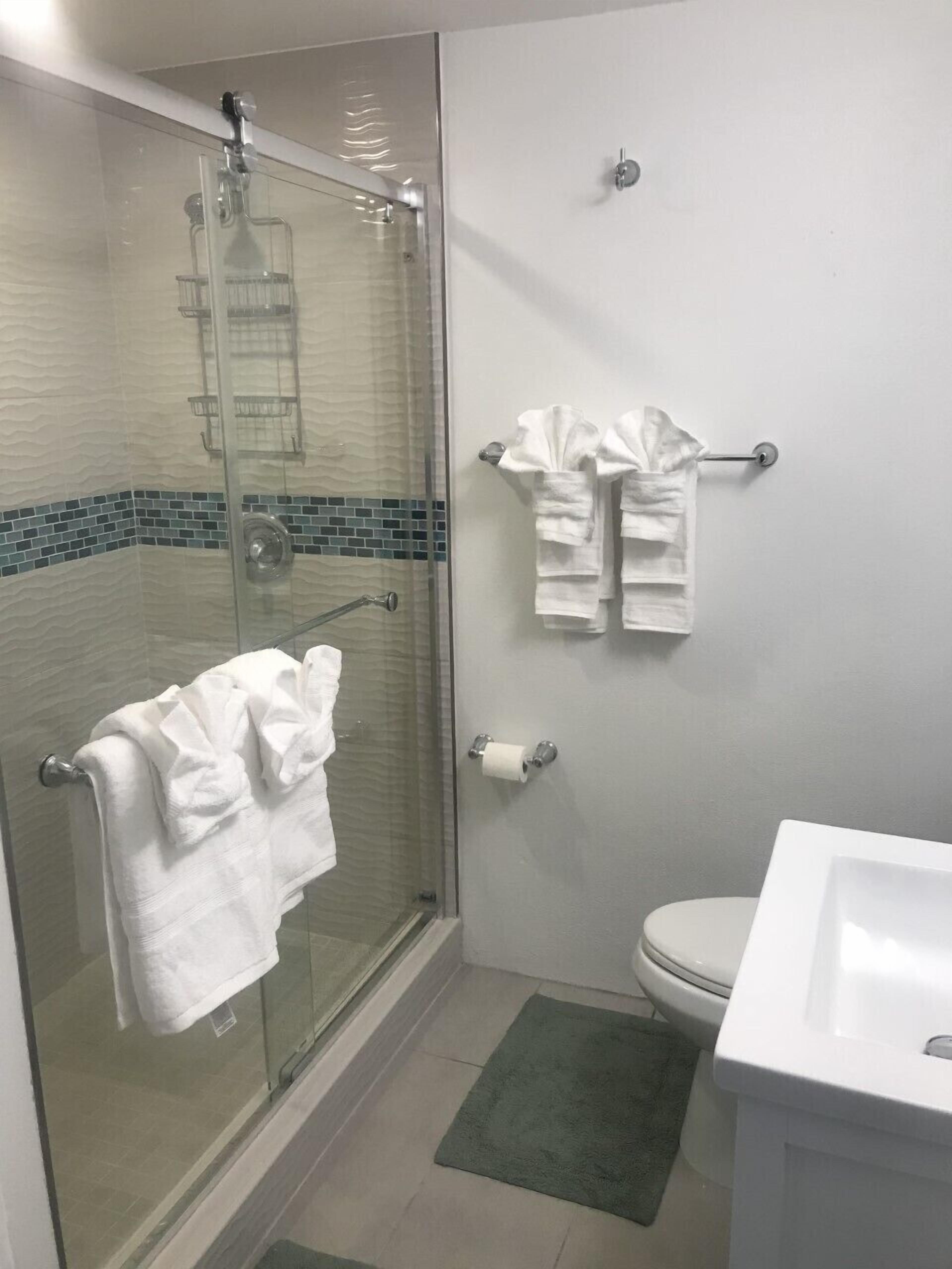 Shower, hair dryer, towels