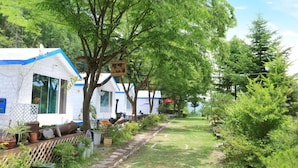 Unclassified image, 3 of 35, button - Hongcheon sol (Hongcheon)