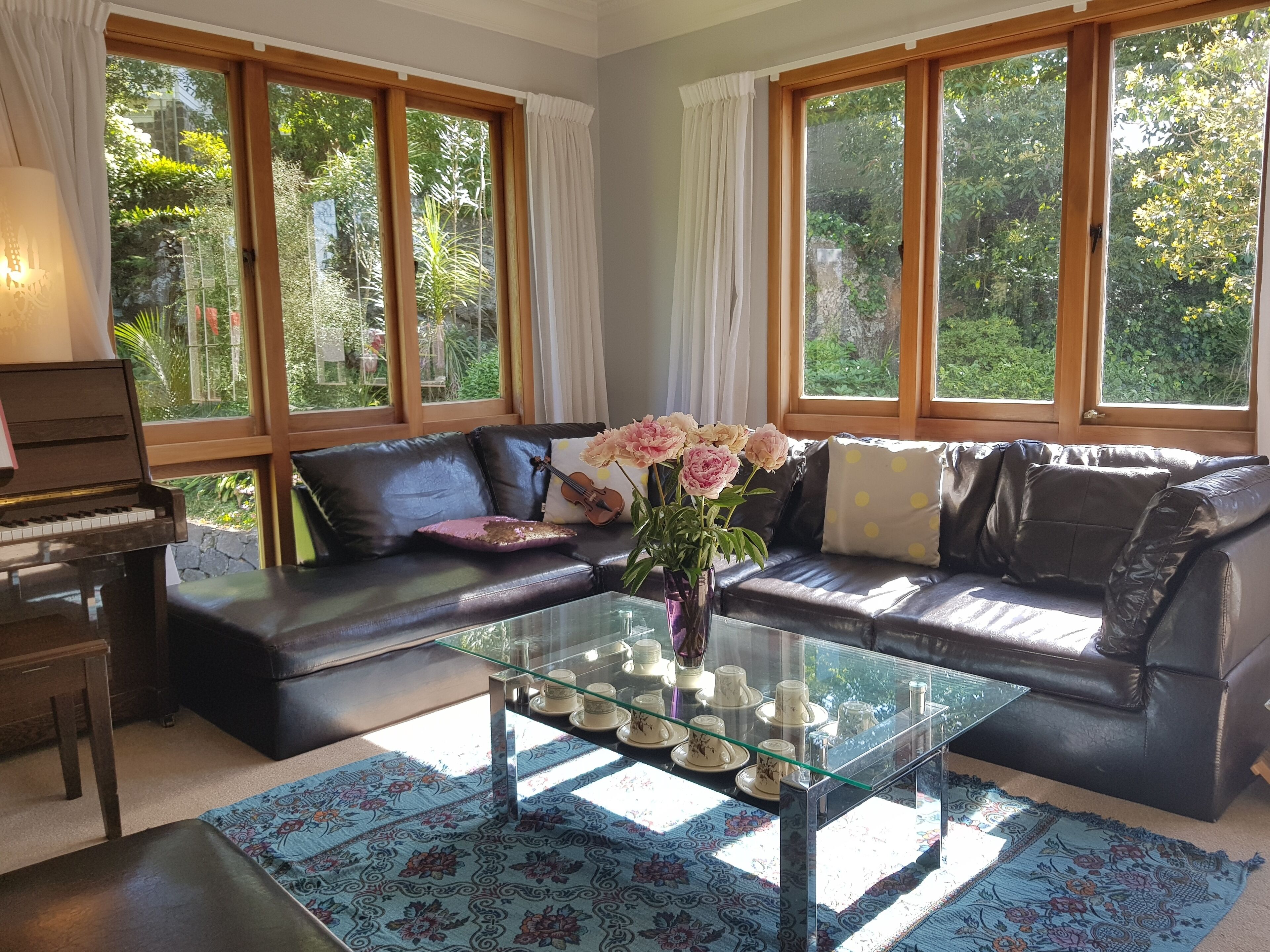 TV, fireplace, books