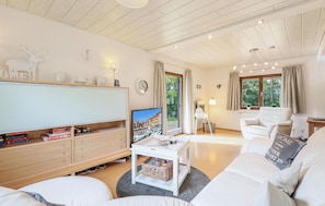 TV, fireplace, DVD player