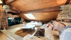 TV, fireplace, DVD player, books