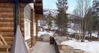 Pet friendly home in Hovden I Setesdal