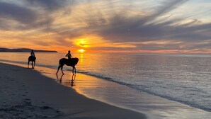 A beach scene with a sunset, two people walking, and a horse. - Room to relax in a perfect location with an easy walk to the beach and shops. (Normanville)