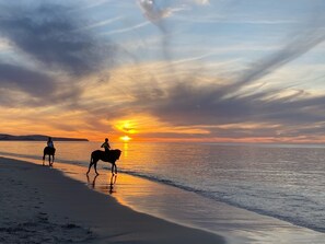 Beach nearby, sun-loungers