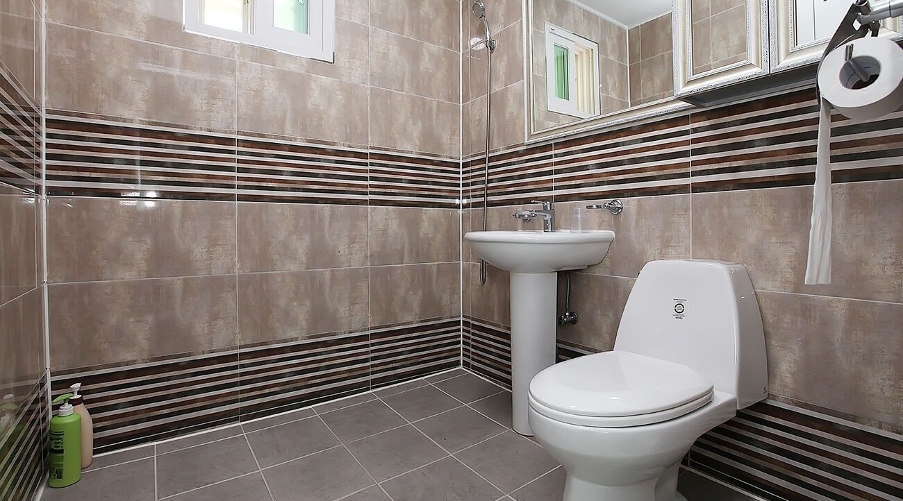 Une salle de bain avec des toilettes, un lavabo et une douche.