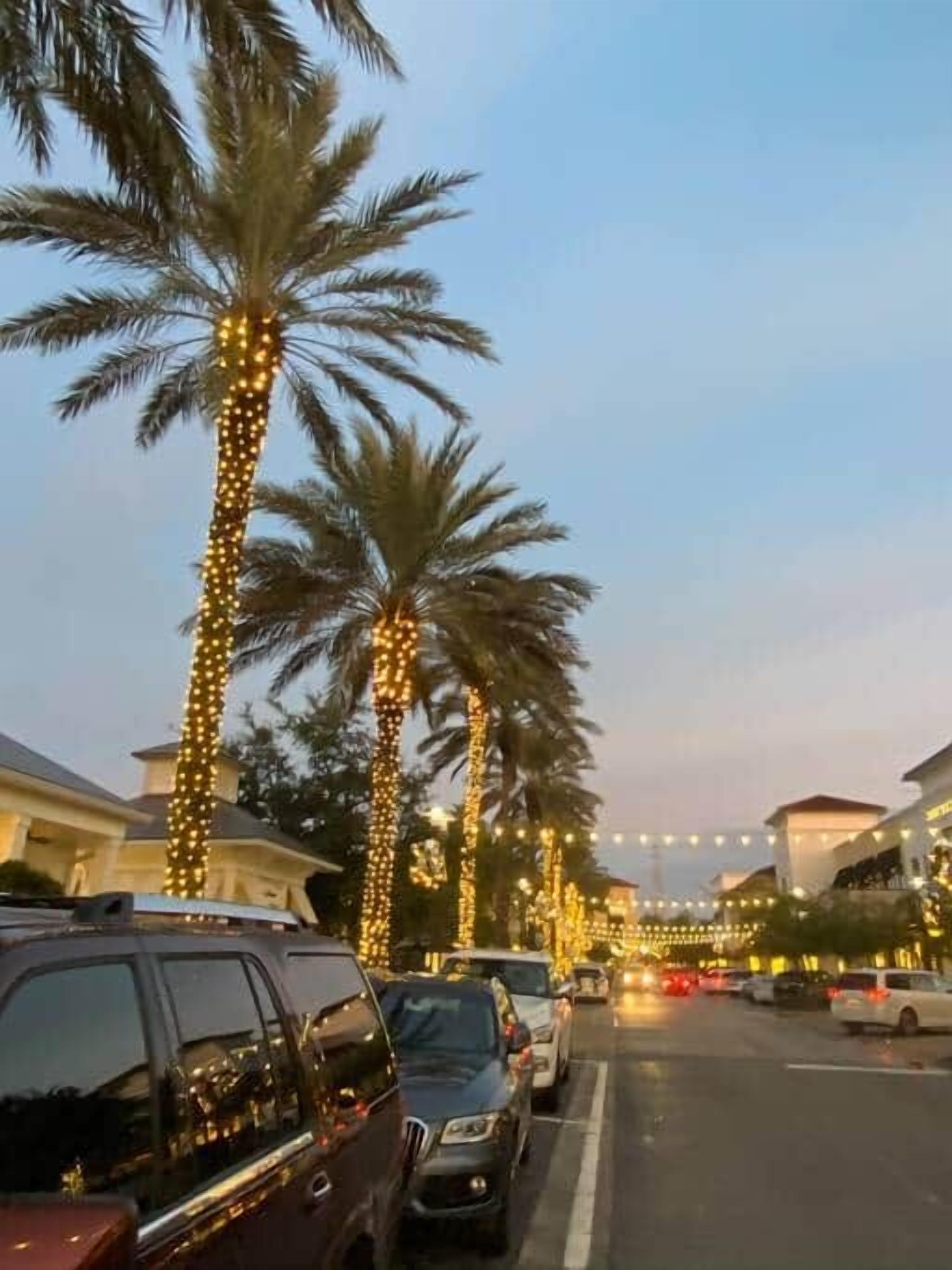 A street lined with palm trees and string lights, with parked cars and buildings in the background.
