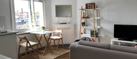 TV, DVD player, books, video library