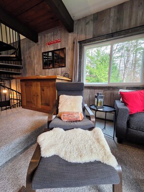 Smart TV, fireplace, DVD player, books