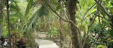 Bureau, accĂšs au Wi-Fi (inclus), literie fournie