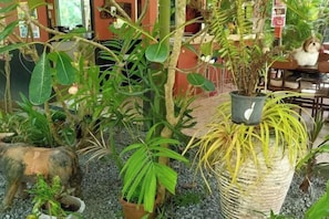 Skrivebord, wi-fi (inkludert) og sengetøy