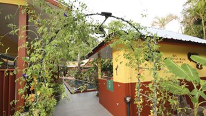 Unclassified image, 5 of 102, button - Ban Elephant Blanc Bungalow (Karon)