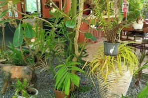 Room - Ban Elephant Blanc Bungalow (Karon)
