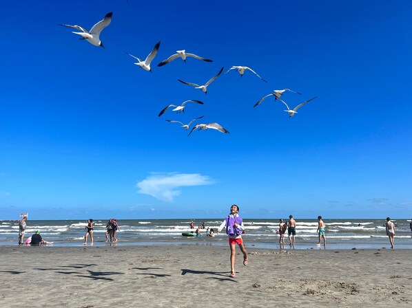 Playa en los alrededores 