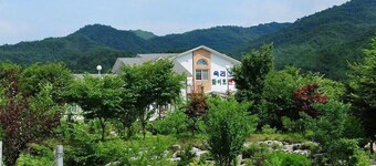 Songnisan Mountain White