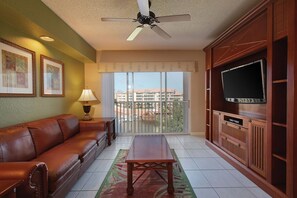 TV, video games, DVD player, books