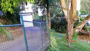 A garden with a paved path, a wire fence, and various plants. - Signature Kandy (Kandy)