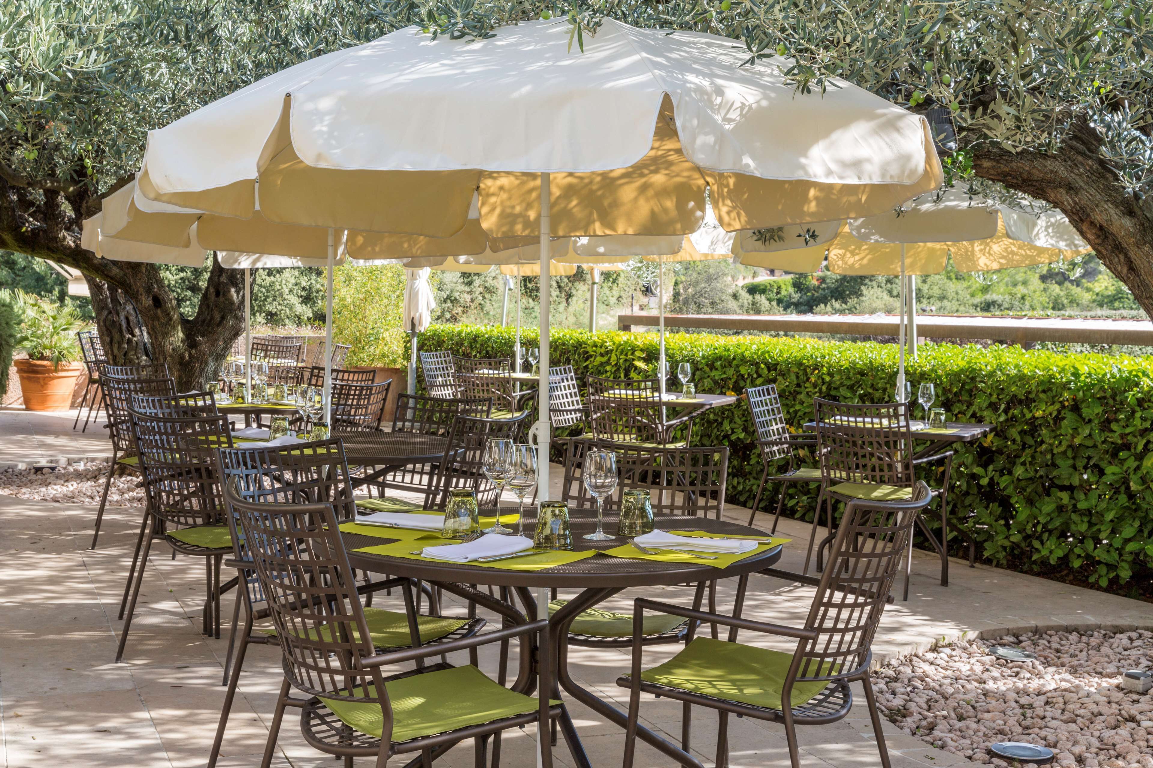 Un área de comedor al aire libre con mesas y sillas bajo sombrillas grandes, rodeada de follaje y un árbol.