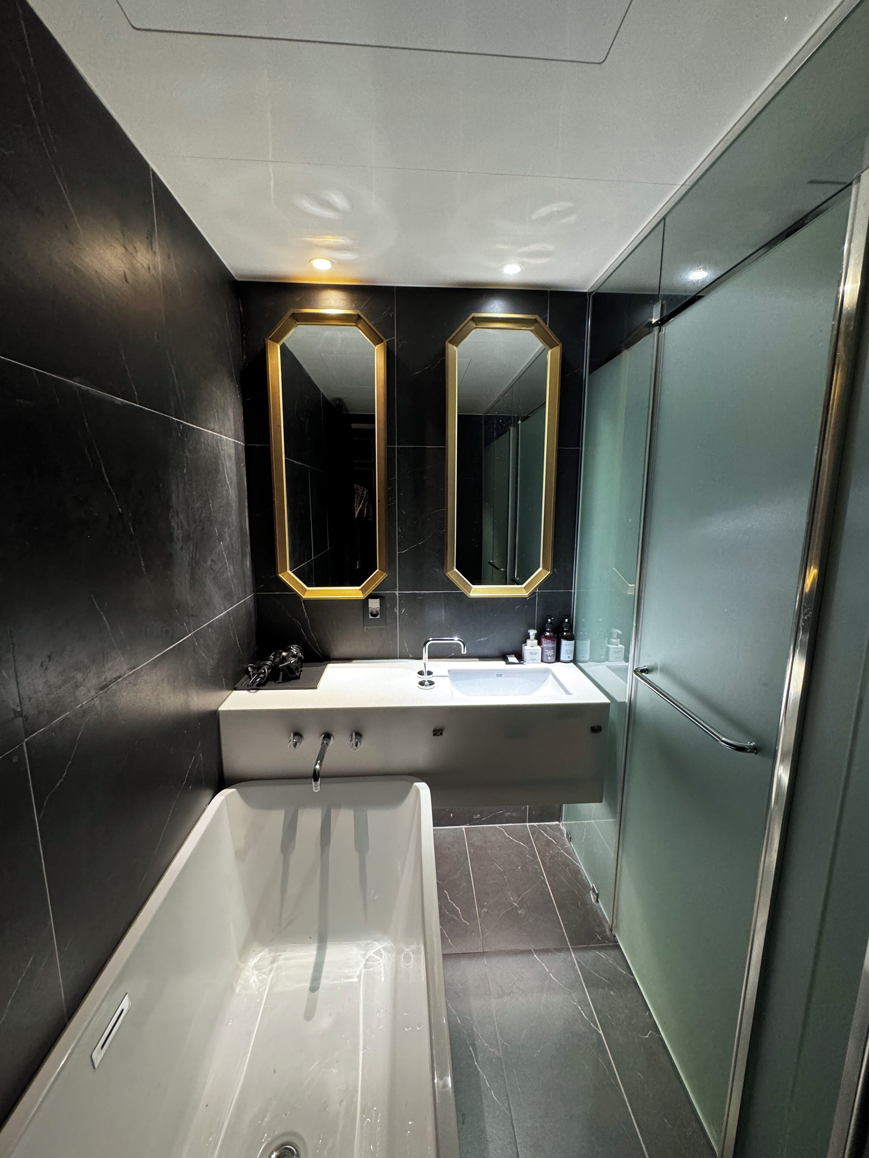 deluxe double room | bathroom | separate bathtub and shower, free toiletries, hair dryer, slippers