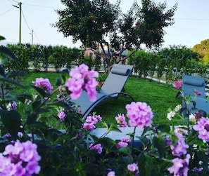 Jardín