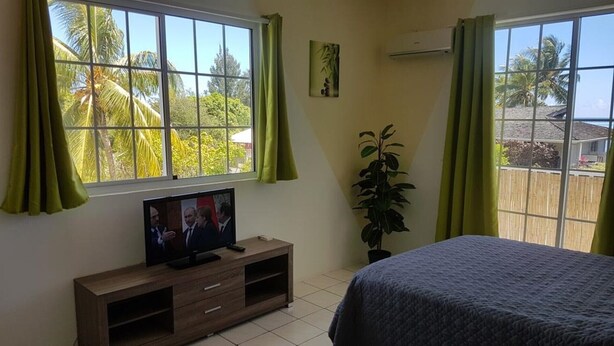 Une chambre à coucher avec un lit, un téléviseur posé sur un meuble en bois, une plante en pot et une fenêtre avec des rideaux.