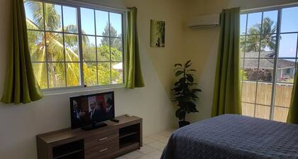 APARTMENT STUDIOS HALFON 2