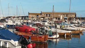 A marina with various boats docked, a building in the background, and calm water.