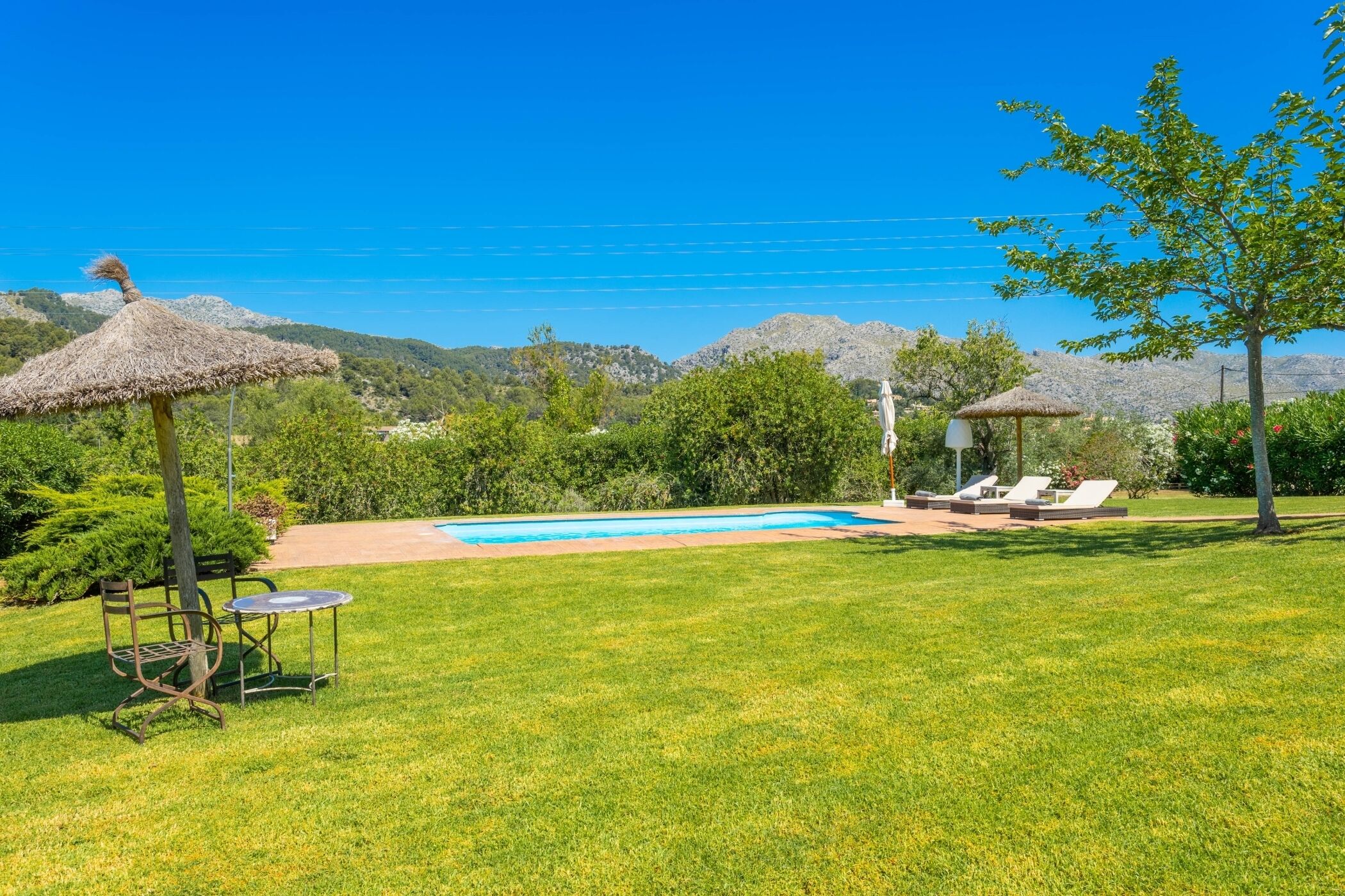 A backyard with a swimming pool, lounge chairs, and a thatched umbrella.