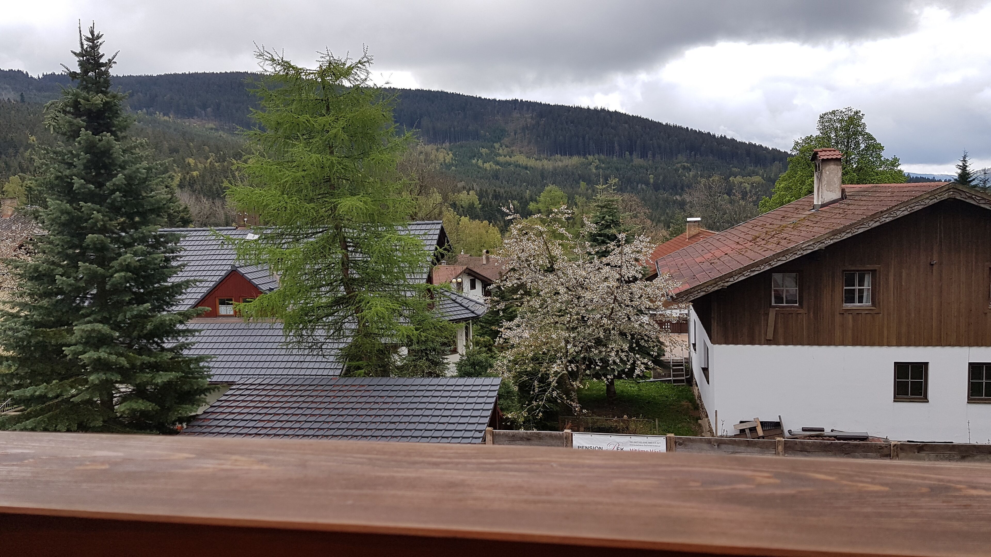 A rural house with a sloped roof, surrounded by trees and a mountain in the background.