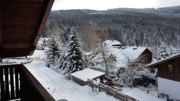 A wooden cabin with a snow-covered roof, surrounded by snow-laden trees and a forested mountain backdrop.