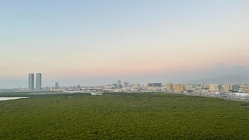 Paisagem urbana com um grande parque verde em primeiro plano e edifícios altos ao fundo.