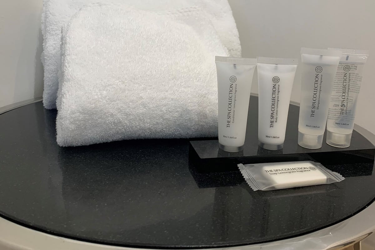 suite | bathroom amenities | shower, rainfall showerhead, free toiletries, hair dryer