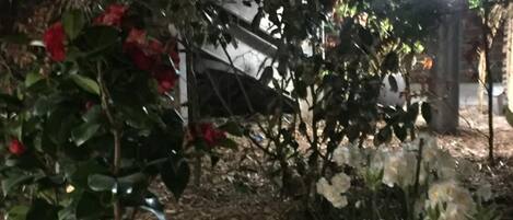 A garden area with potted plants, including a rose bush and white flowers, in a dimly lit outdoor space with brick walls and a metal railing.