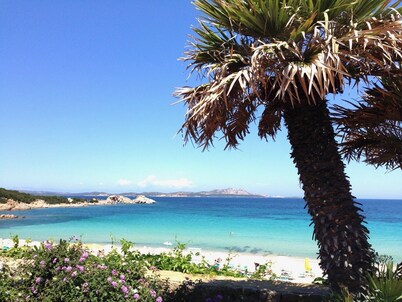 Small Cozy House with garden in Costa Smeralda