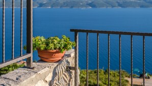 Een potplant op een balkon met uitzicht op de zee en heuvels in de verte.